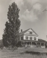 Huset på kullen, Lake George
