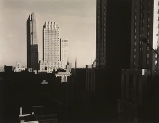 New York från Shelton