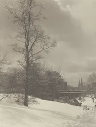 Vinter (Central Park)