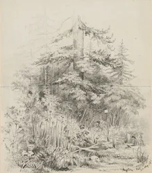 Indian Burial Place, Oregon, 1841 (grafit på två falsade skissboksark av krämvävt papper)