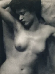 Torso