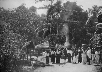 En djungelby, c1890, 1910