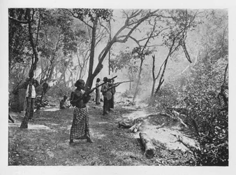 Elephant Kraaling in Ceylon Towards the Stockade, c1890, 1910