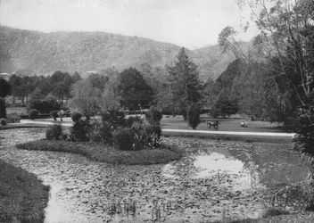 Hakgalla Gardens from the Lotus Pond, Nuwara Eliya, c1890, 1910