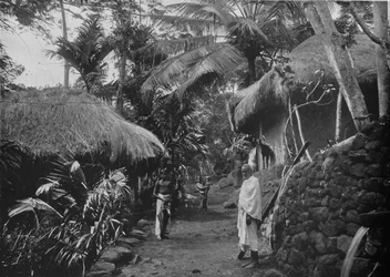 Native Huts in the Jungle, c1890, 1910