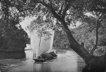 Paddabåt i full segel, c1890, 1910
