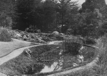 The Rock Garden, Hakgalla Gardens, Nuwara Eliya, c1890, 1910