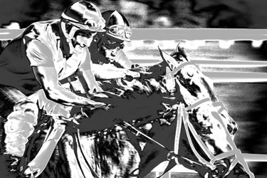 Saratogoa Trials, 2015 (handmålat fotografi)