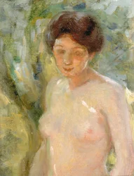 I solljus, ca. 1910.