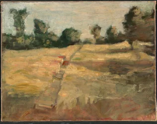 Fältet, ca. 1892.