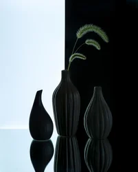 Eleganta vaser med gräs