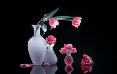 Stilleben med rosa tulpaner