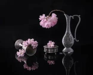 Silver och sakura