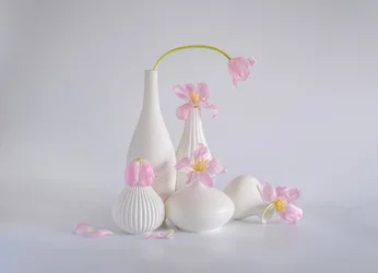 Stilleben med ljusrosa tulpaner