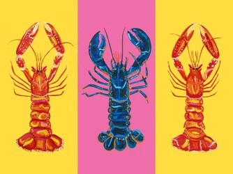 Hummer och havskräftor – Pop Art 2