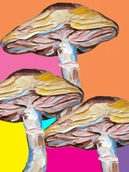 Psykedelisk svamp-popkonst
