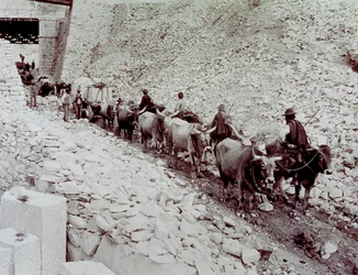 Scen som visar marmorblock som transporteras från ett stenbrott i Carrara. Vagnen dras av tio oxar (s/v foto)