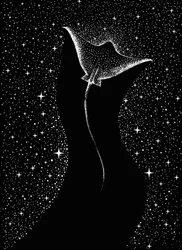 Kosmisk mantarocka
