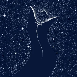 Kosmisk mantarocka