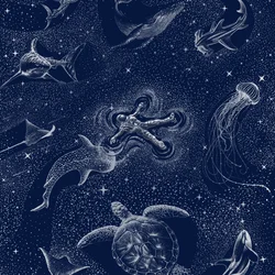 Kosmisk havsresa