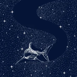 Stora Vita Galaxen