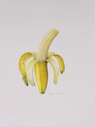 En halvskalad banan, 1997