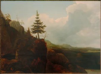 Berglandskap med en gran