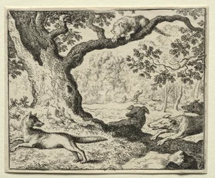 Reynard räven: Den illojala katten.