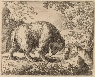 Björnen distraherad med tal om honung, förmodligen ca. 16451656.