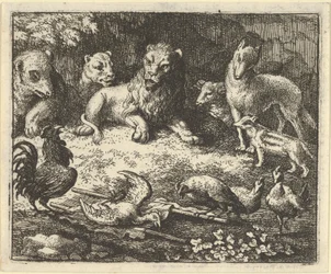 Tuppen anklagar Renard för att ha mördat hans höna, 1650-75.