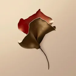 Vikt blomform