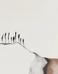 Minimalistiskt bergslugn