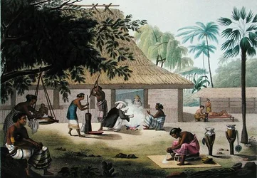 Inrikesaktiviteter, Coupang, Timor, från 