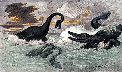 Lias Period (Nedre Jurassic): Plesiosaur och Ichthyosaur, naturlig skapelse och levande varelser (av Jules Renegade) Teckning av A. Demarle. 1885