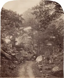 Fontainebleau,ca 1860-talet (foto)