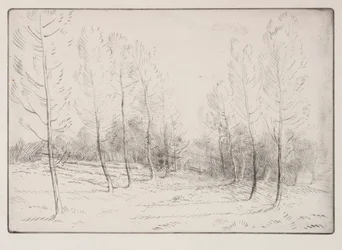 Avenue of Poplars.