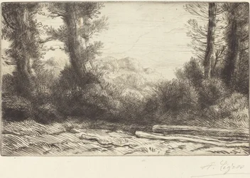 Edge of a Wood Lisiere de bois.