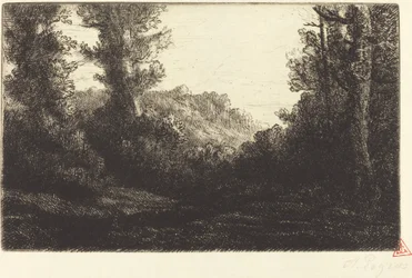Edge of a Wood Lisiere de bois.