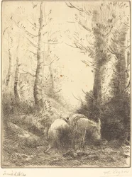 Bonden och hans åsna Bonden och hans åsna.