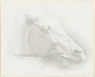 Chef för en häst från Parthenon, 1898.