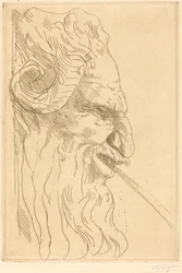 Chef för en Satyr Tete de satyre.