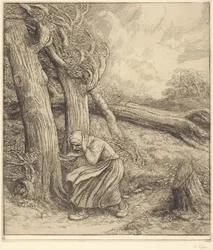 Hurricane (Orkanen)