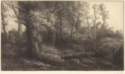 I skogen (Lisière de forêt)