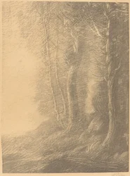 Landskap