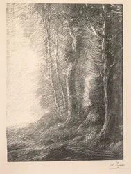 Landskap