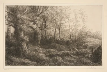 Skogsbryn