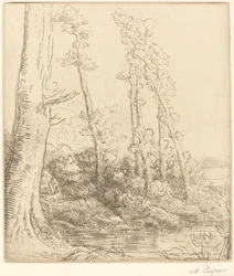 Little Pond (La petite mare)