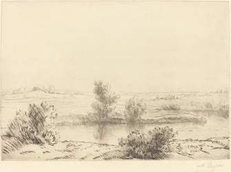 Marsh Marshes.