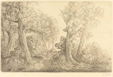 Nära skogen, Veronne (Pres du bois, Veronne)