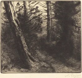 Vägen genom skogen